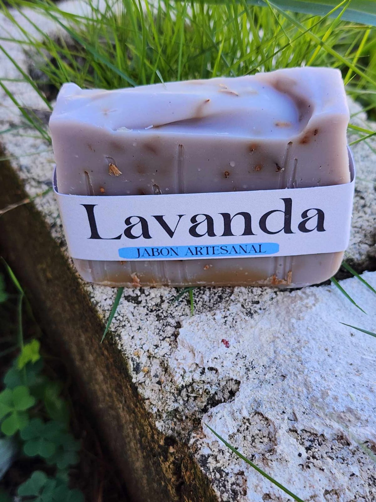 Lavanda