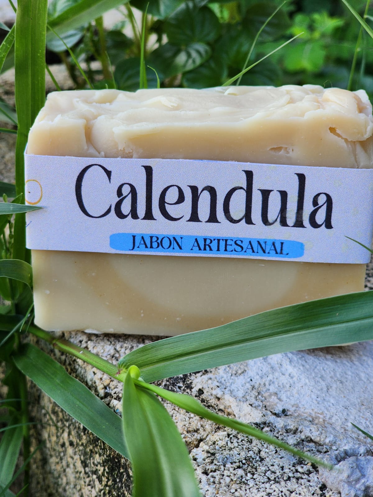 Caléndula