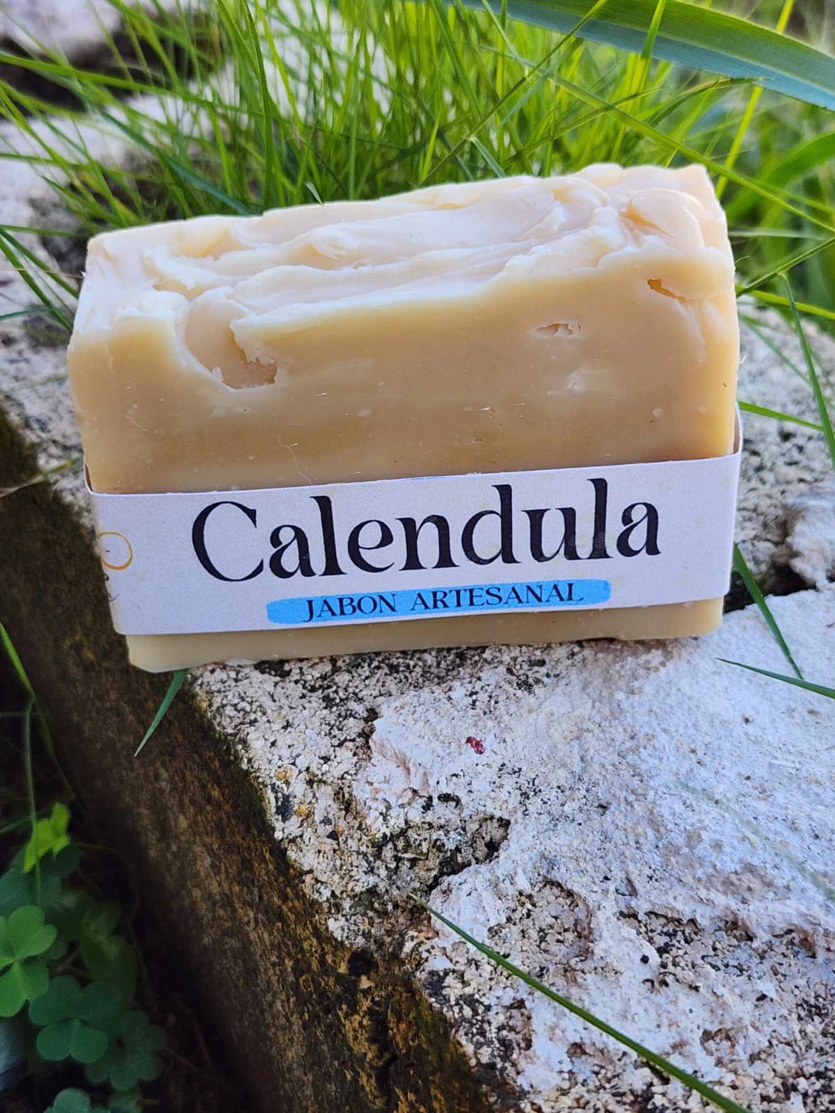 Caléndula