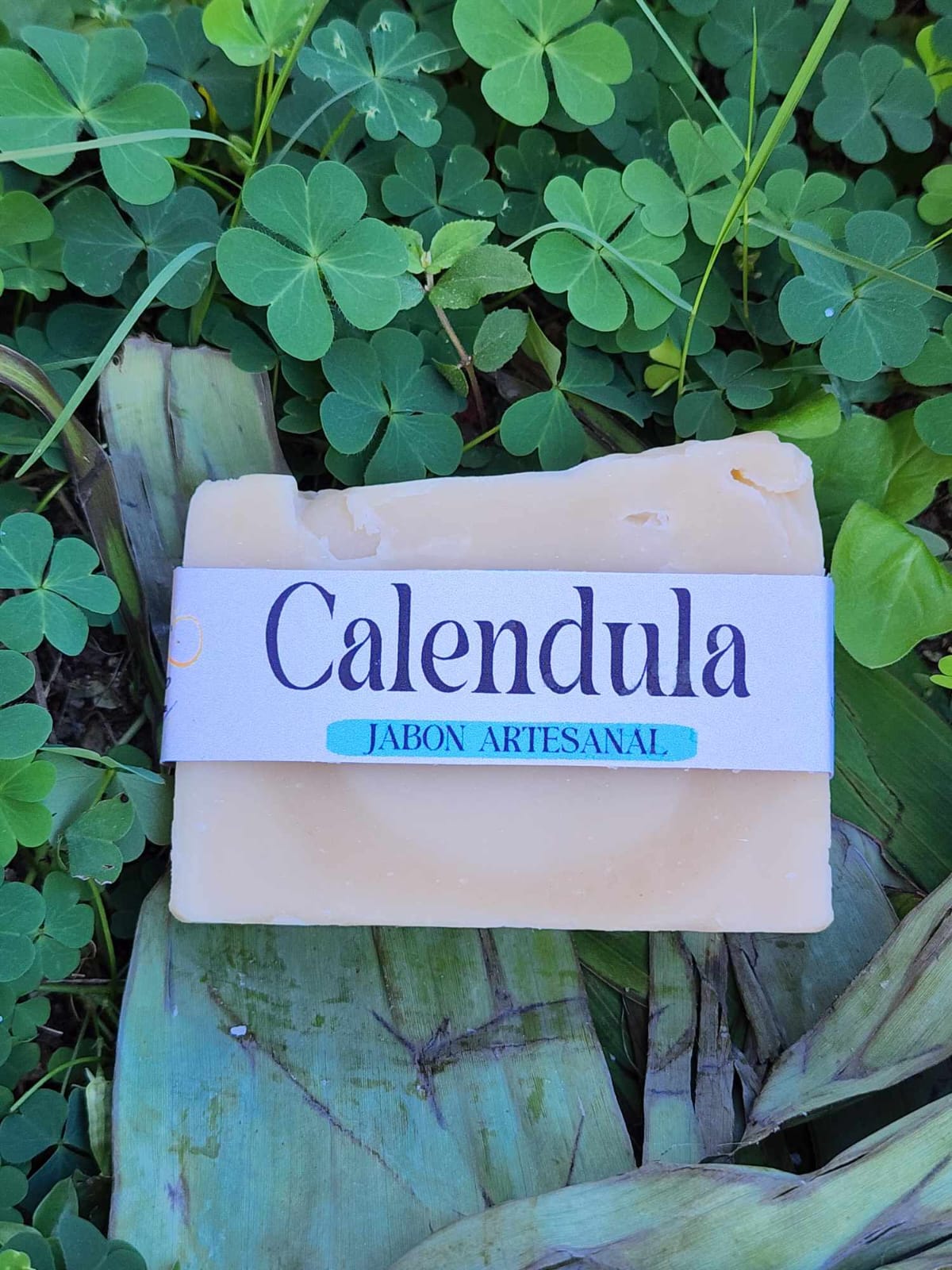 Caléndula