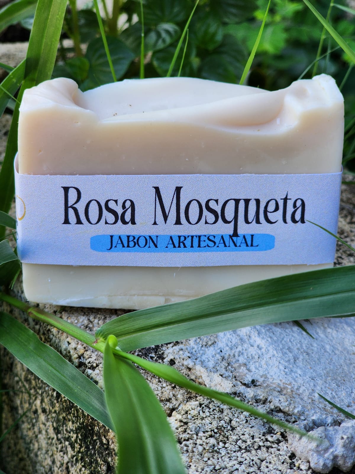 Rosa Mosqueta