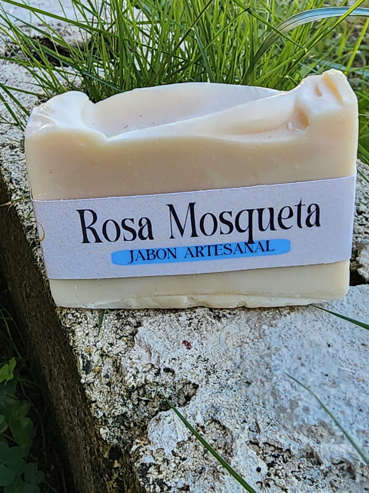 Rosa Mosqueta