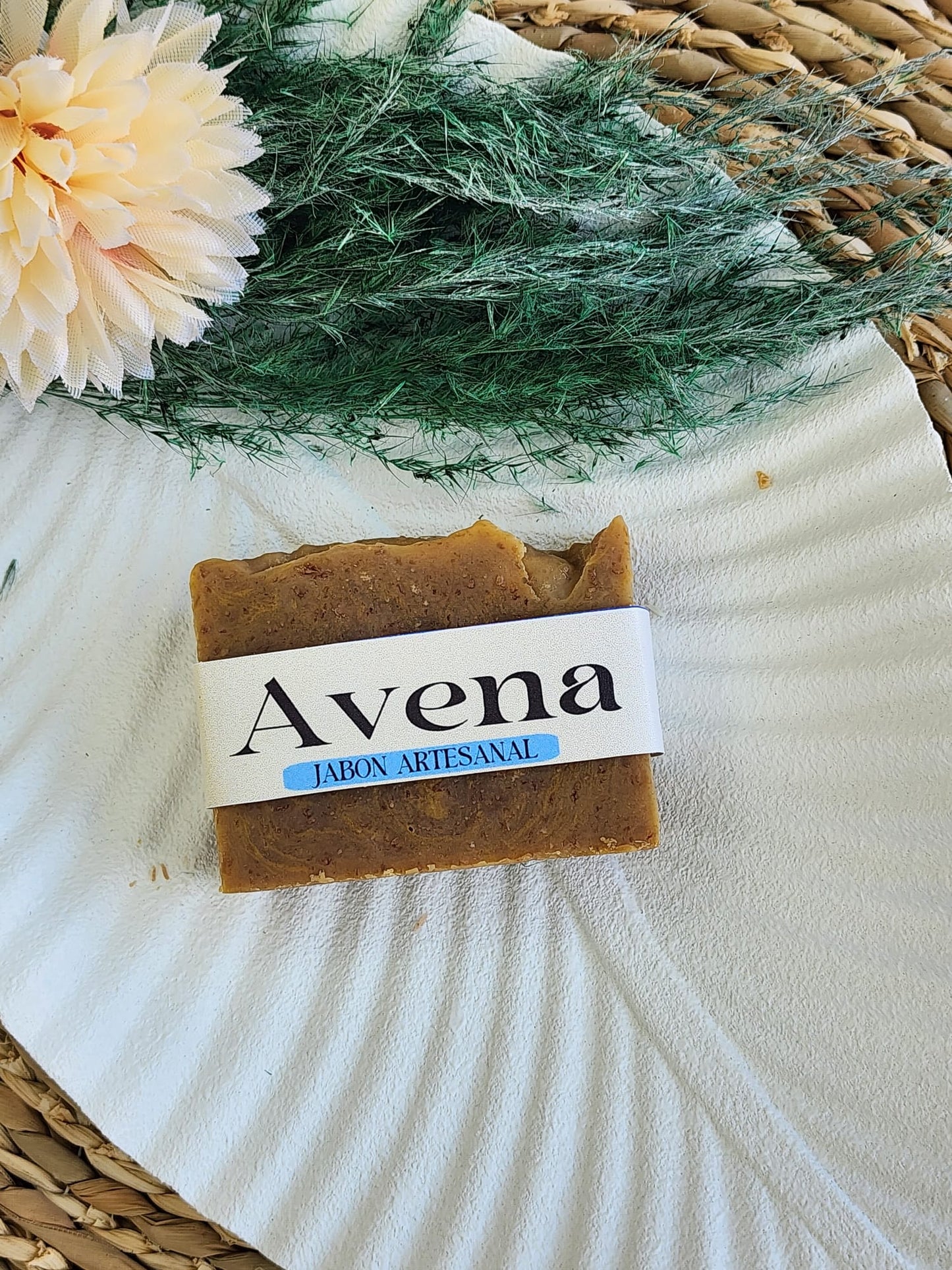 Avena