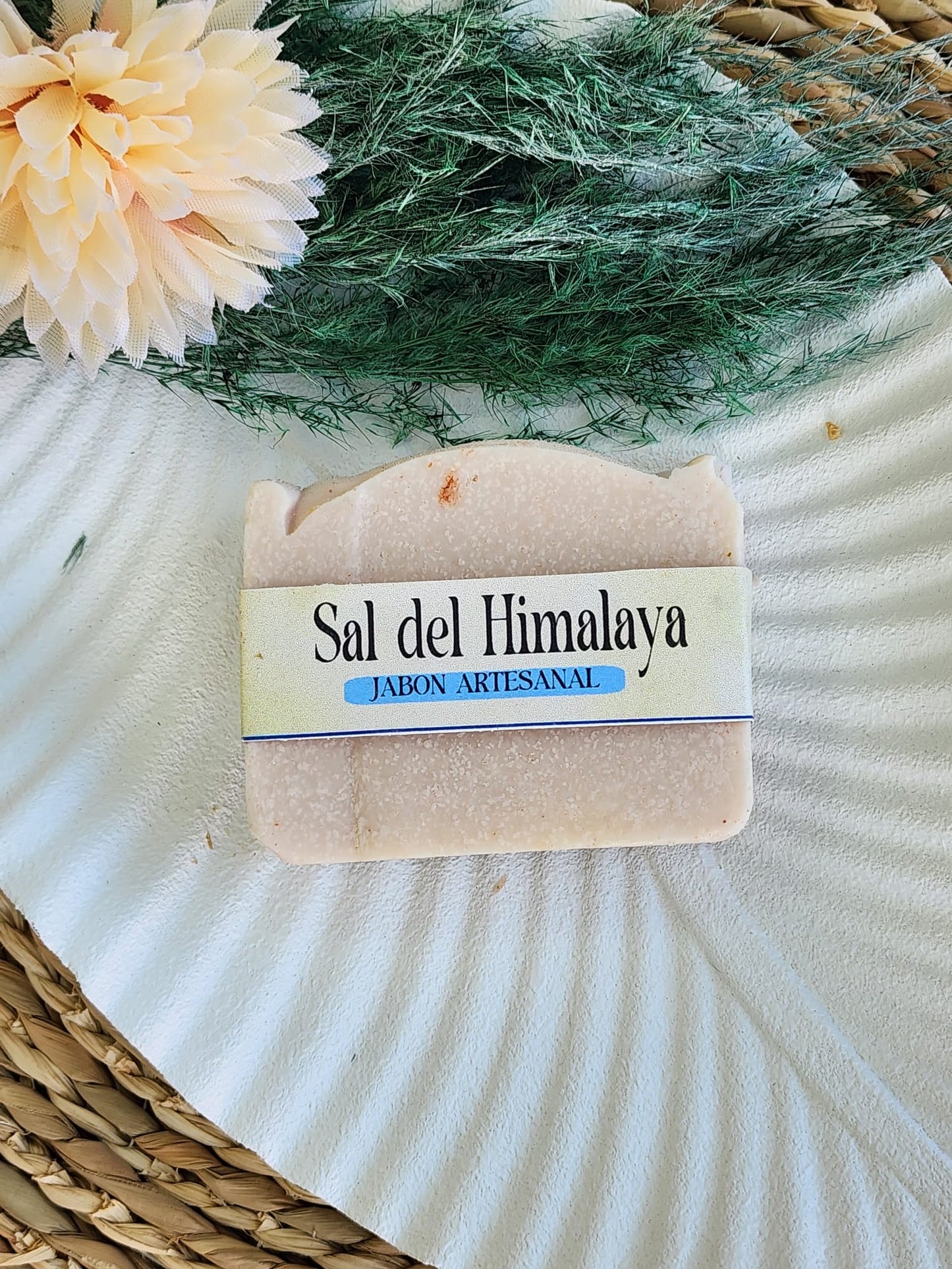 Sal del himalaya