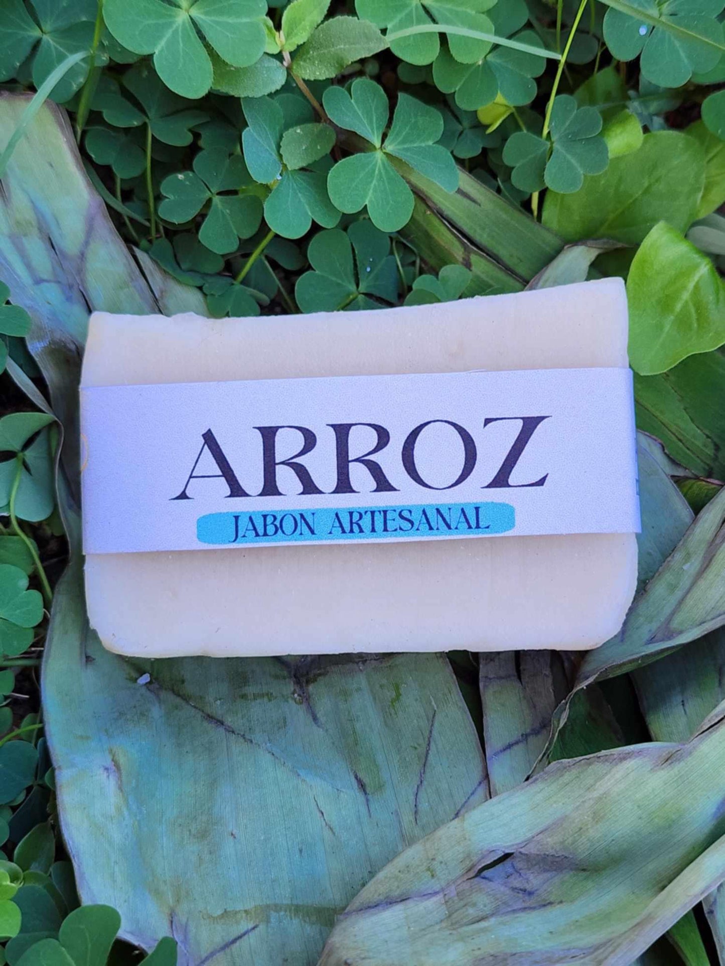 Arroz