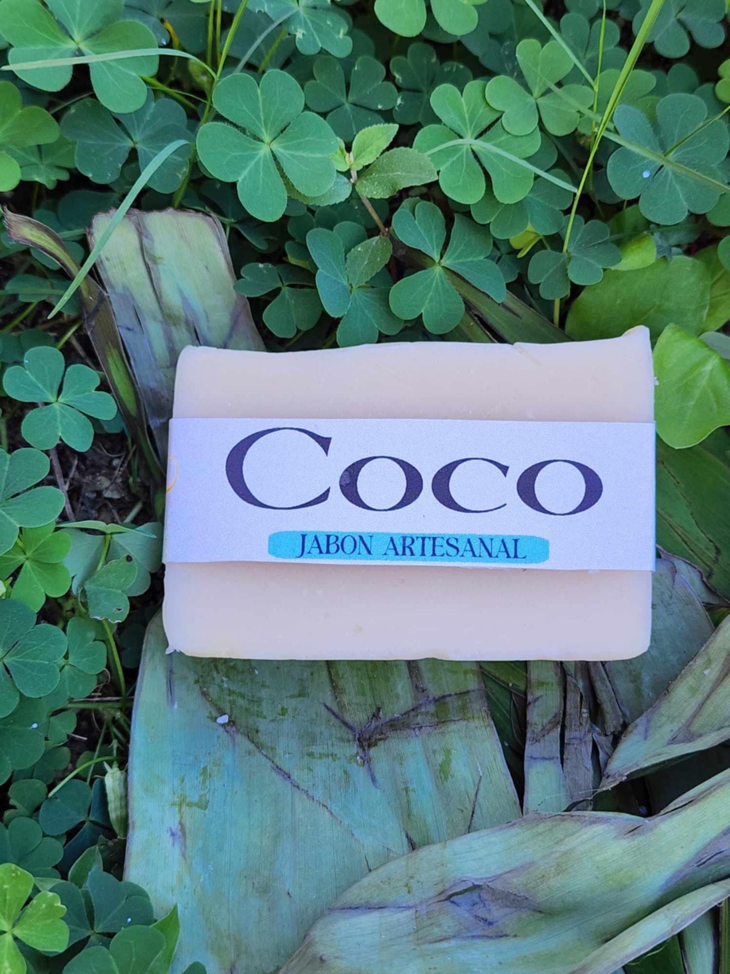 Coco