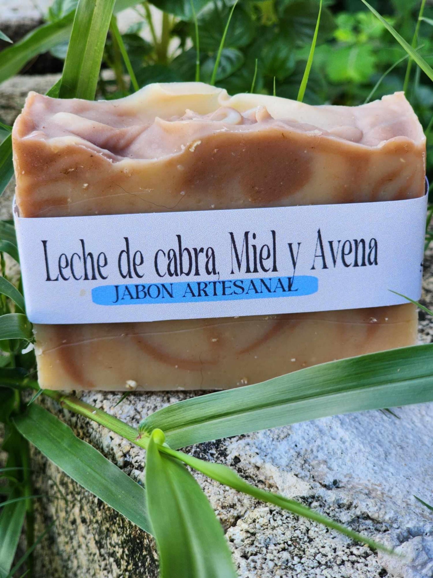 leche de cabra, miel y avena