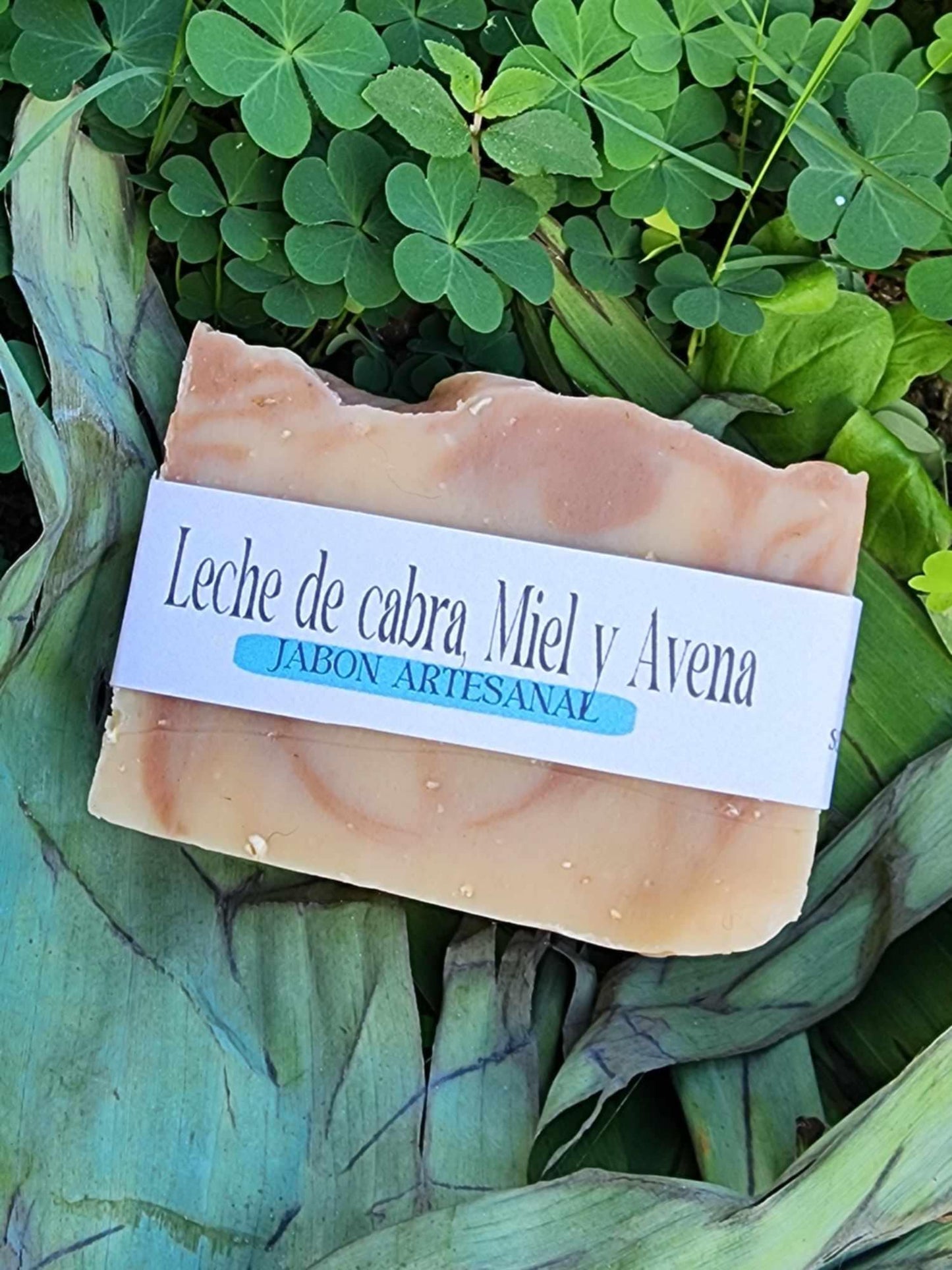 leche de cabra, miel y avena