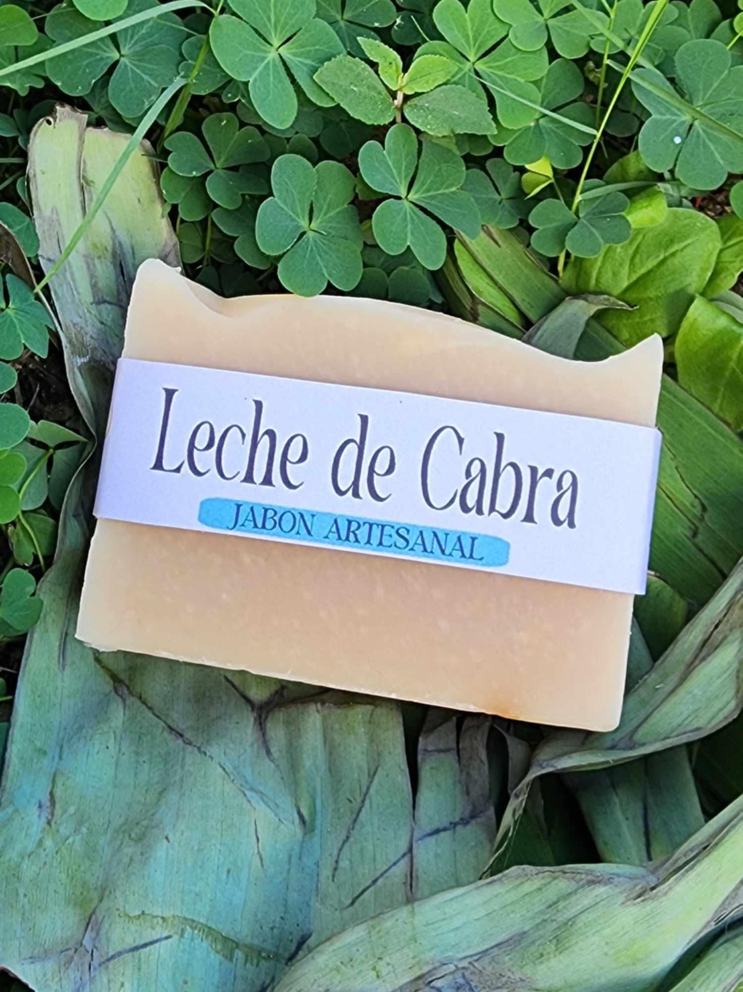 leche de cabra