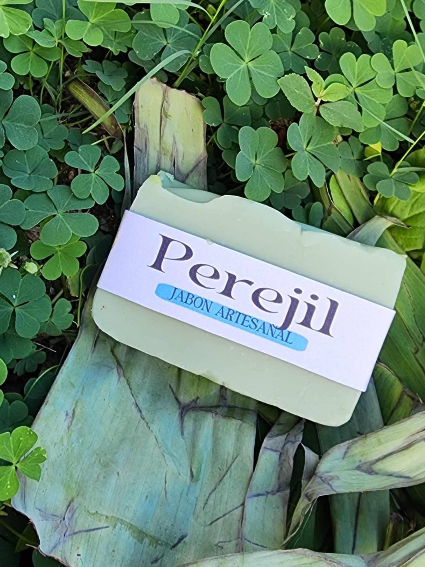 Perejil