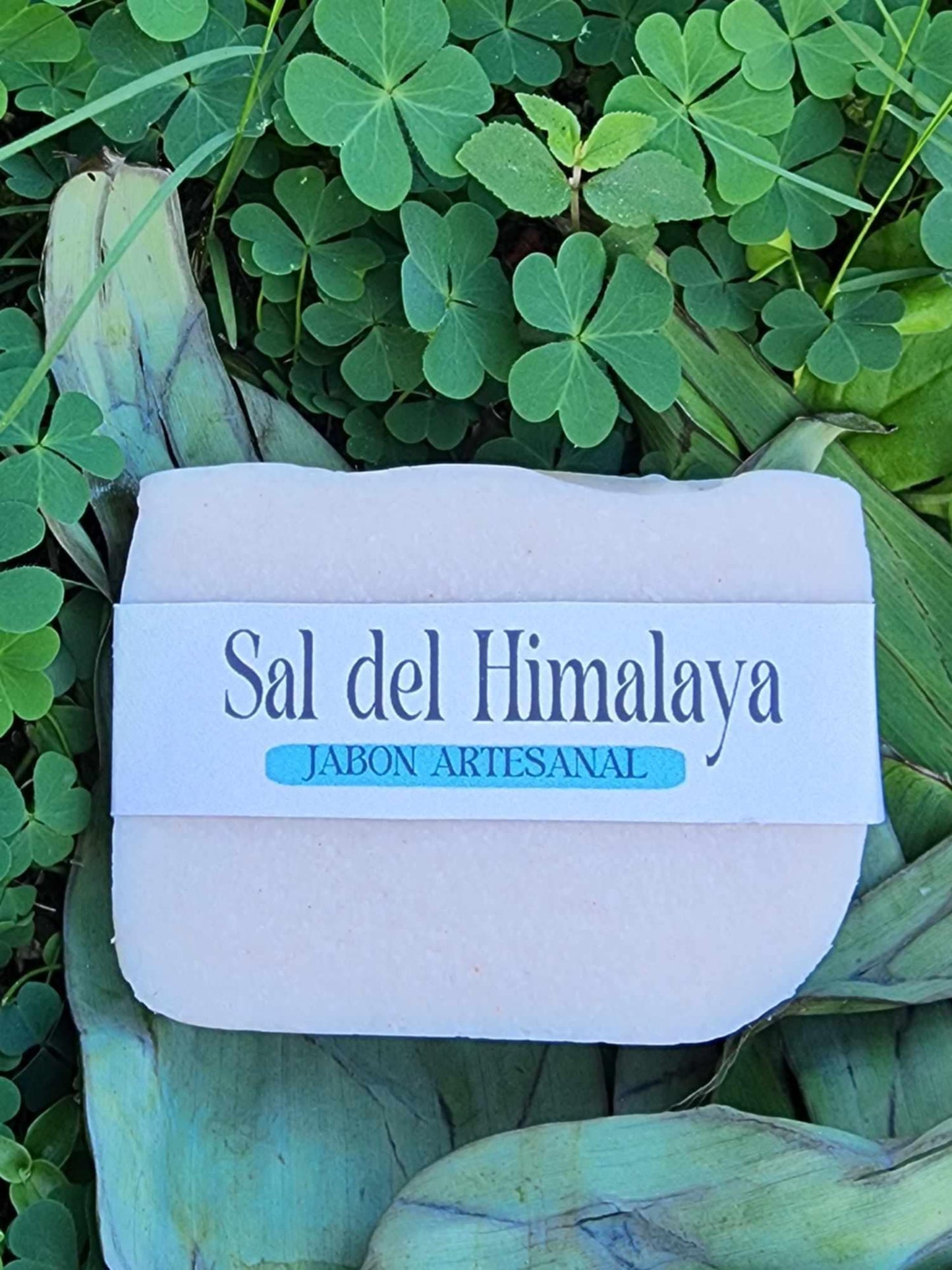Sal del himalaya