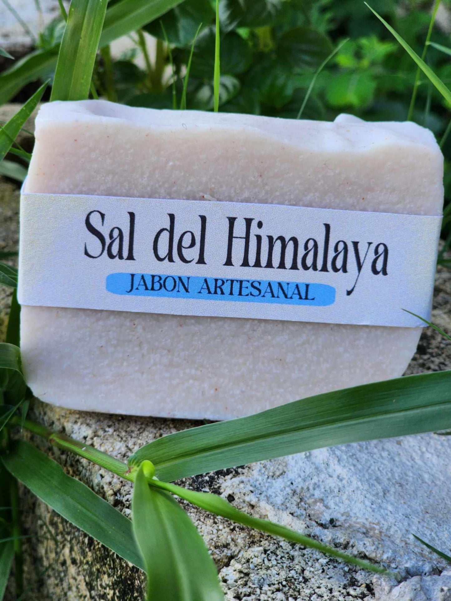 Sal del himalaya
