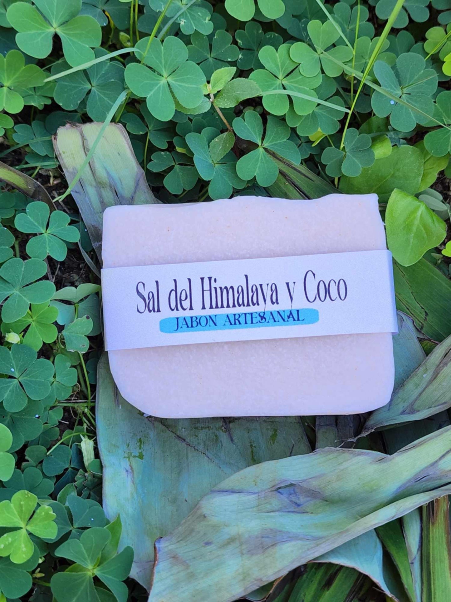 Sal del himalaya y coco